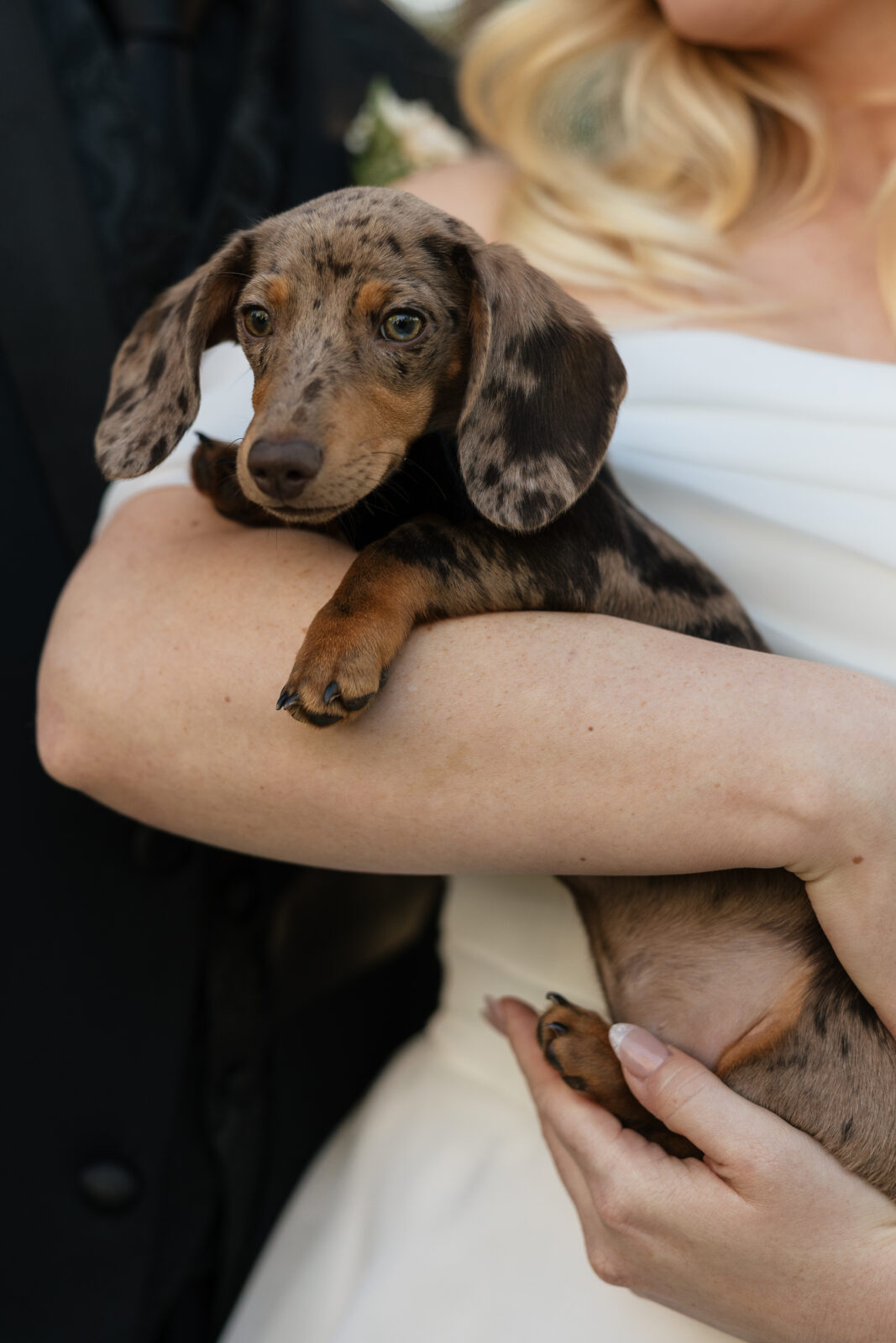 Wedding Portraits Harmony estate Murrieta by Socal wedding photographer Kassidy Klicks