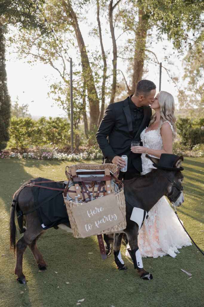 Bride and groom with surprise guest donkey at cocktail hour